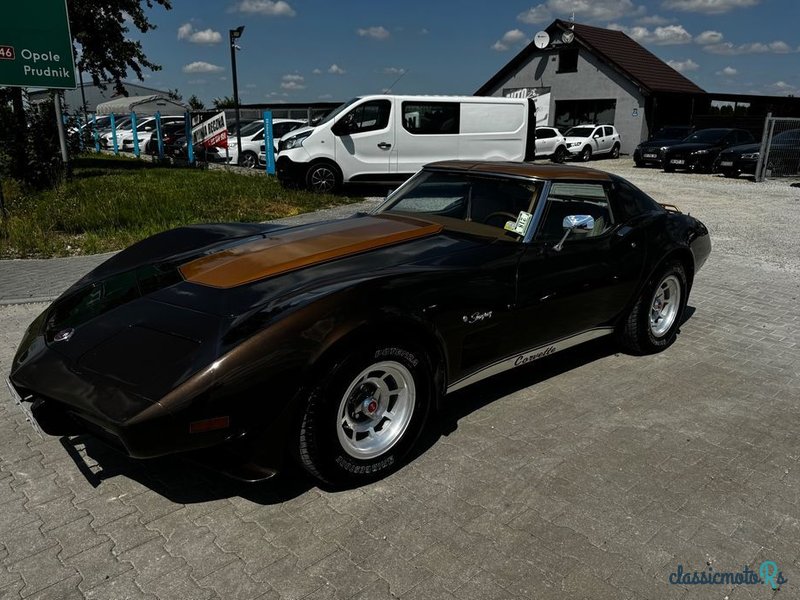 1976' Chevrolet Corvette photo #2