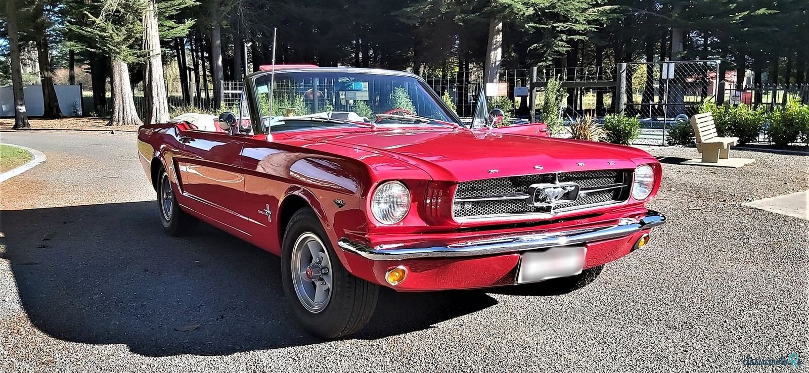 1965' Ford Mustang V8 photo #2