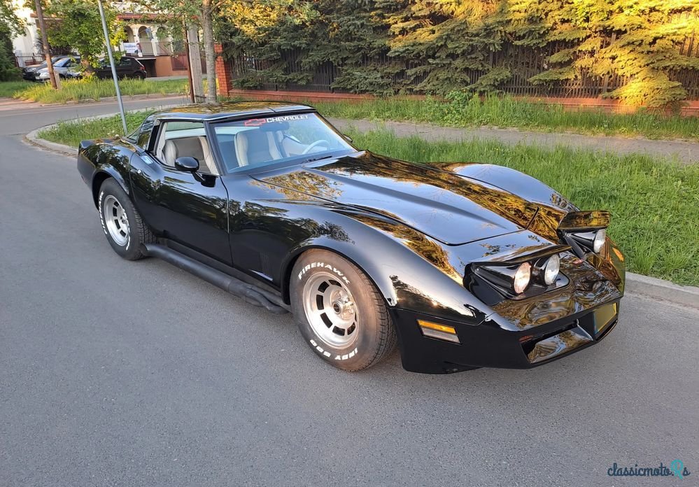 1979' Chevrolet Corvette photo #5