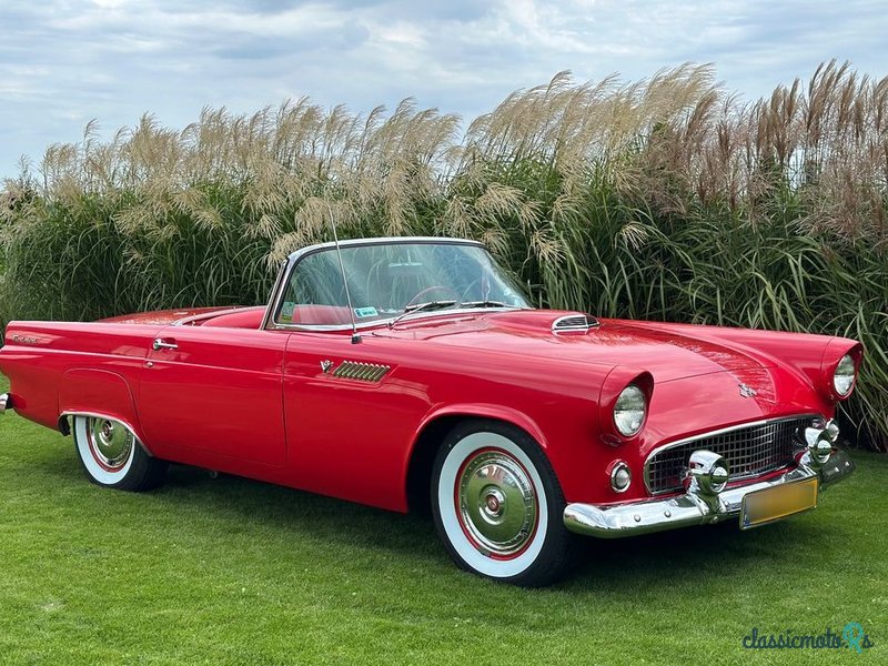 1955' Ford Thunderbird photo #1