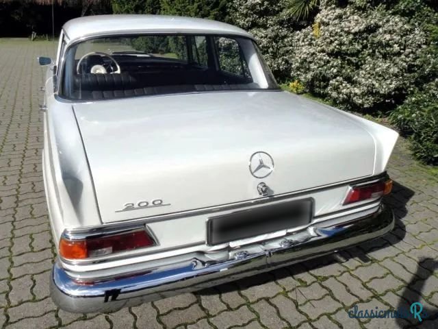 1967' Mercedes-Benz 200 photo #4