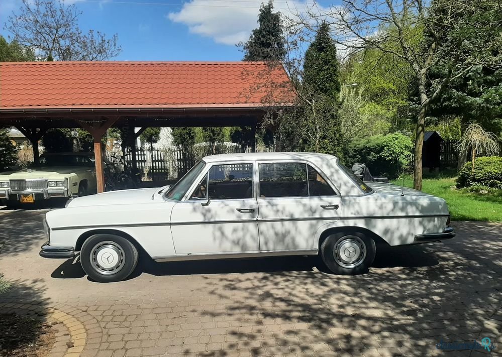 1970' Mercedes-Benz W108 photo #6