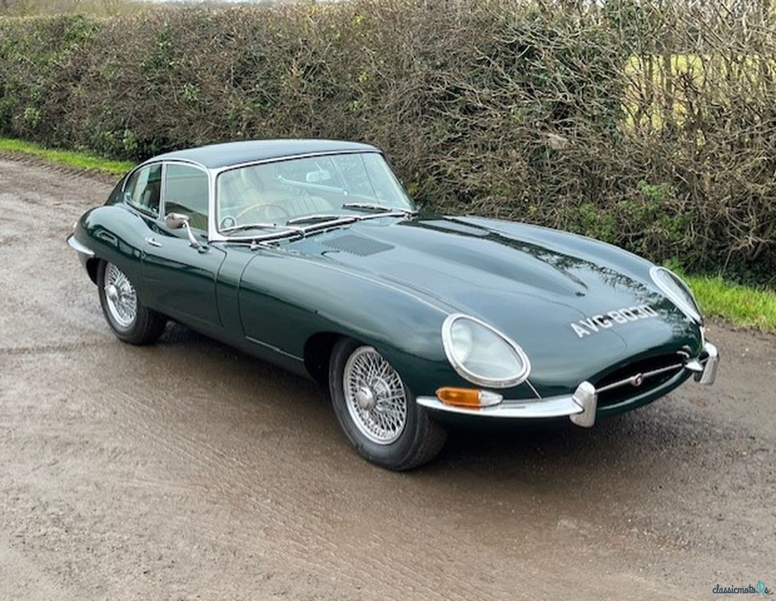 1966' Jaguar E-Type Series 1 photo #2