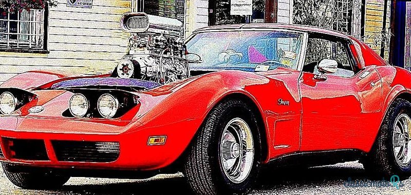 1974' Chevrolet Corvette photo #5