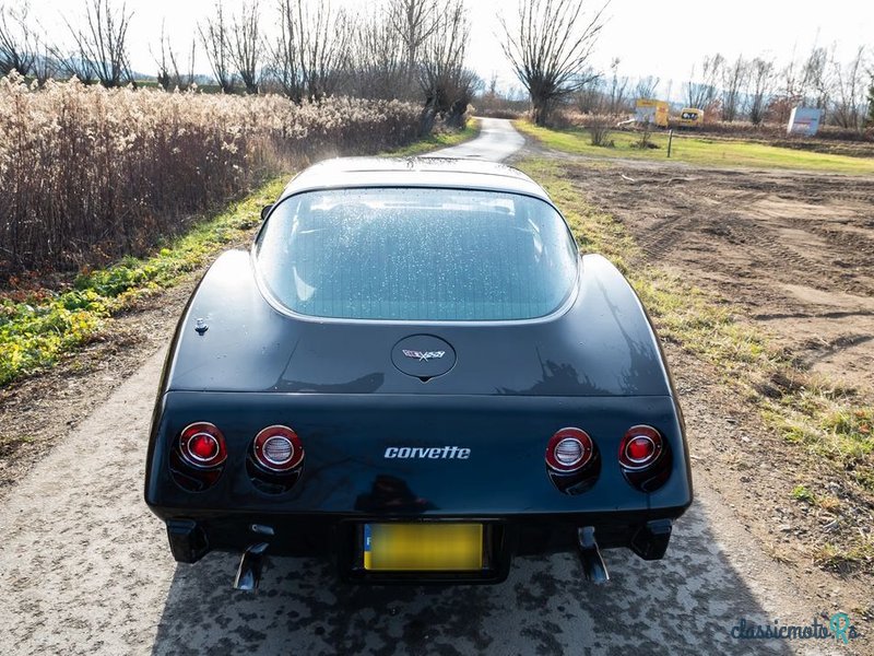 1979' Chevrolet Corvette photo #6