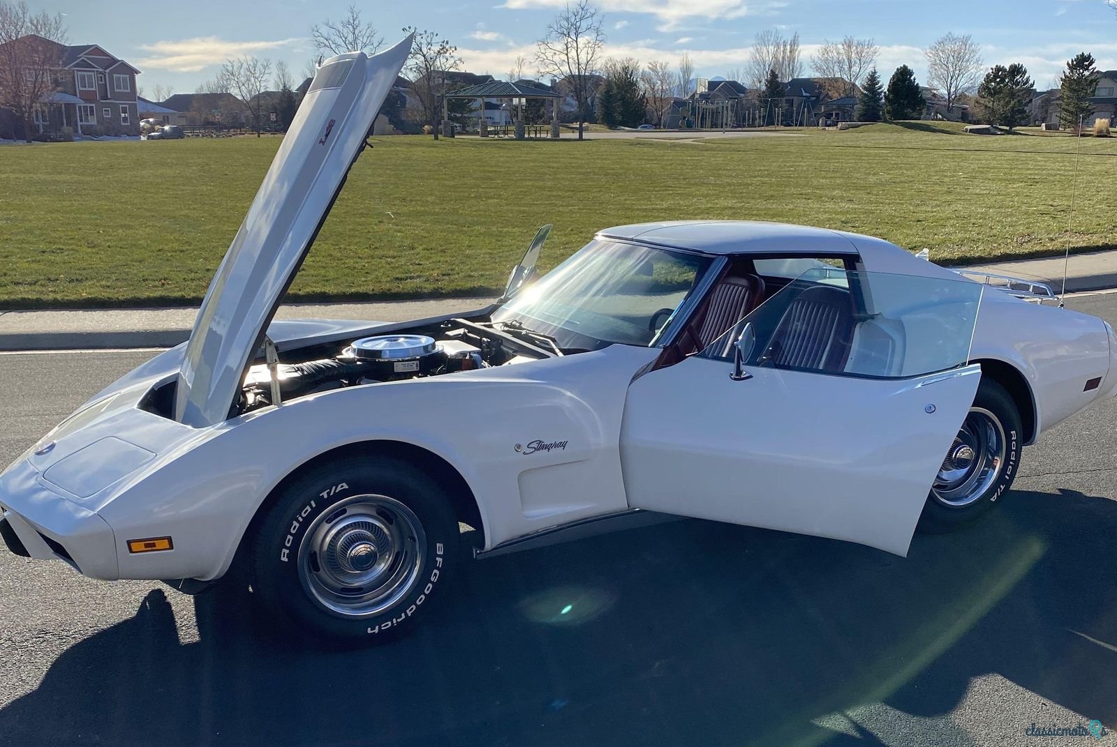 1976' Chevrolet Corvette photo #5