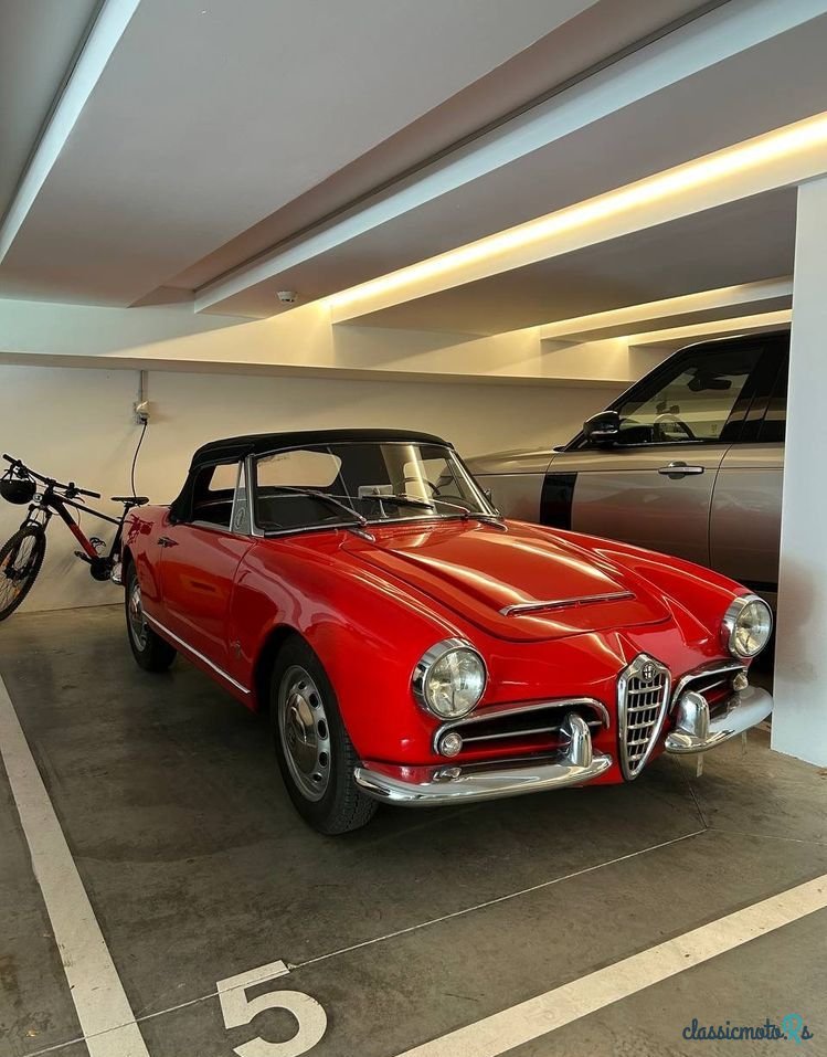 1963' Alfa Romeo Giulia photo #2