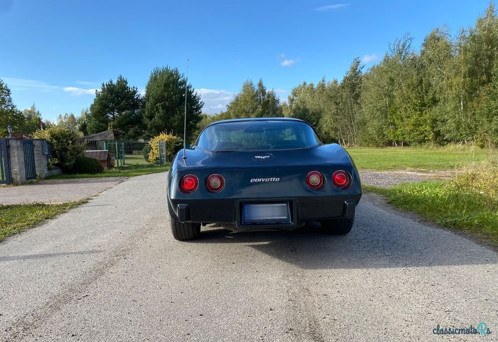 1979' Chevrolet Corvette photo #4