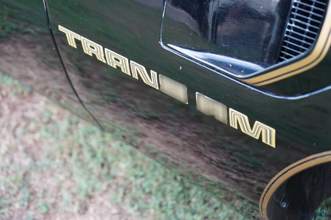 1979' Pontiac Firebird photo #3