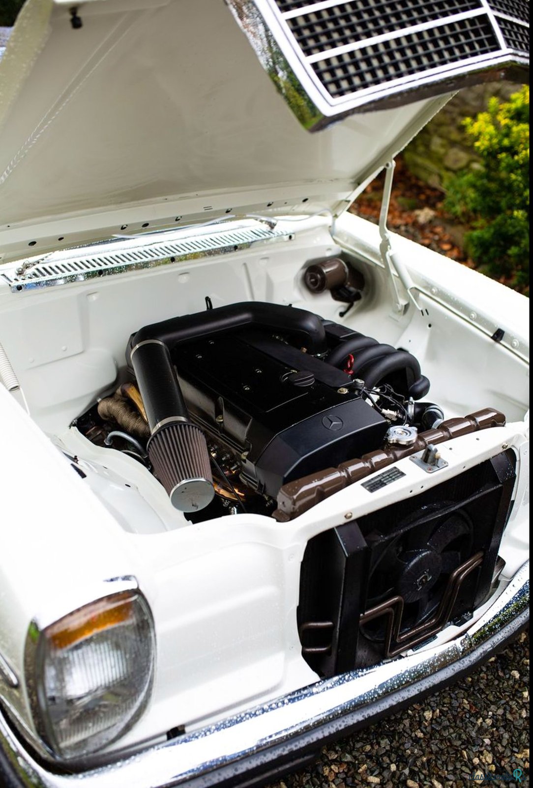 1969' Mercedes-Benz 250 photo #4