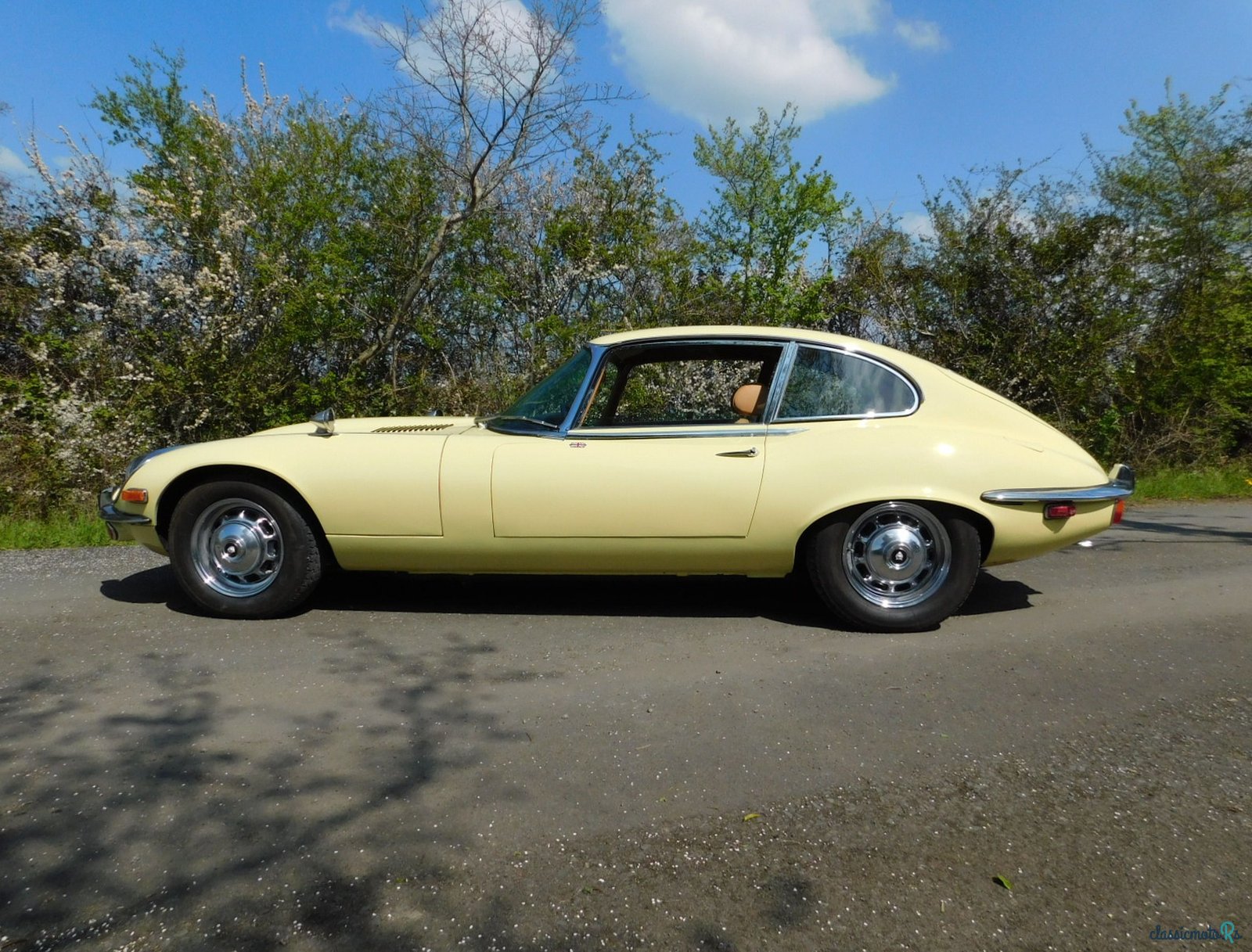1971' Jaguar E-Type photo #1