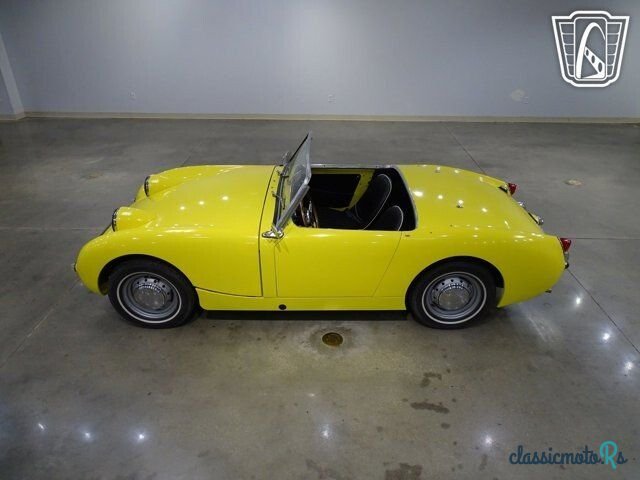 1959' Austin-Healey Sprite photo #4