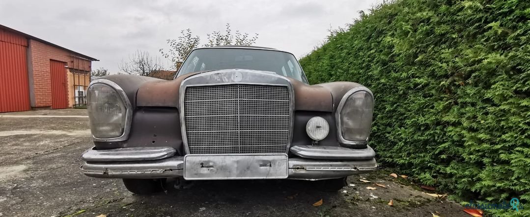 1968' Mercedes-Benz 280 photo #2