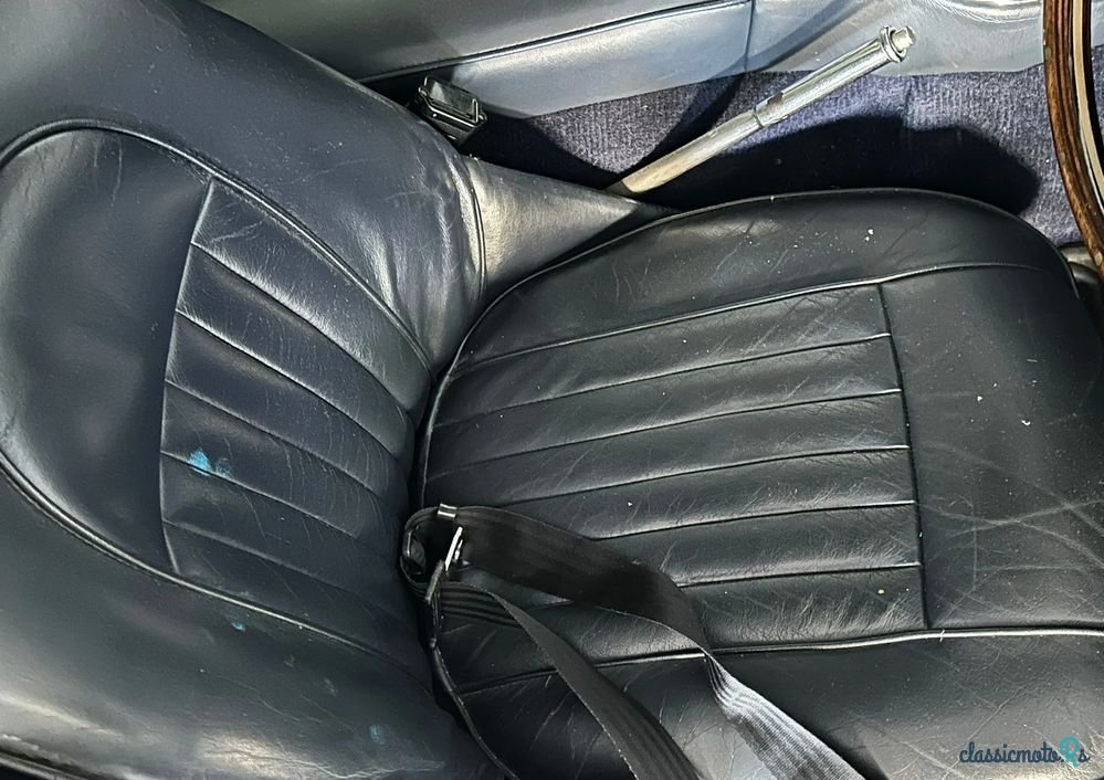 1965' Austin Healey photo #5