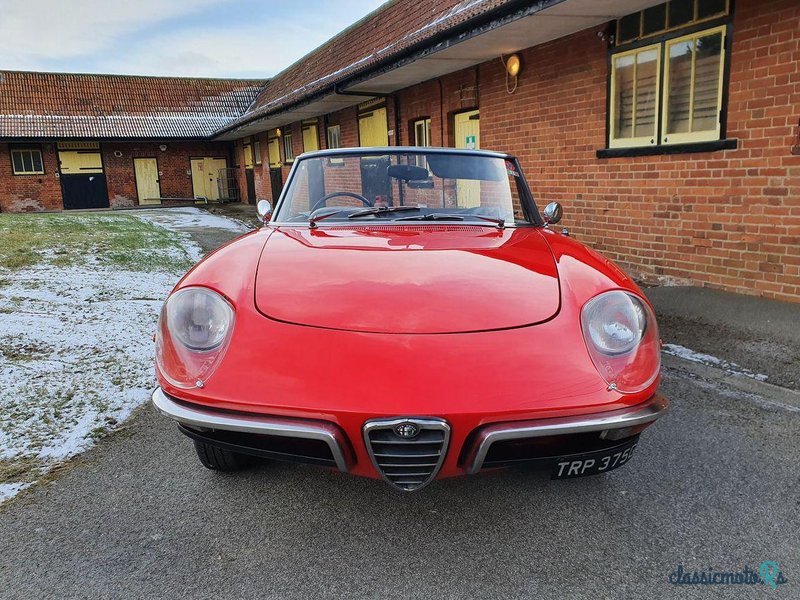 1969' Alfa Romeo Spider photo #1