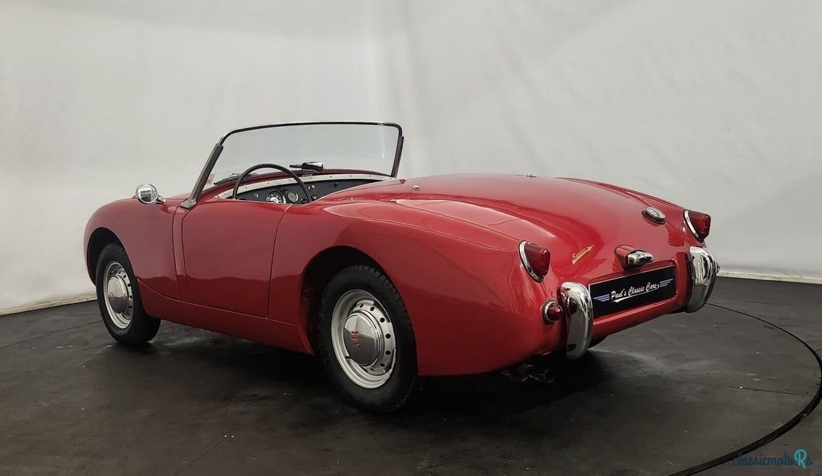1958' Austin-Healey Sprite photo #3