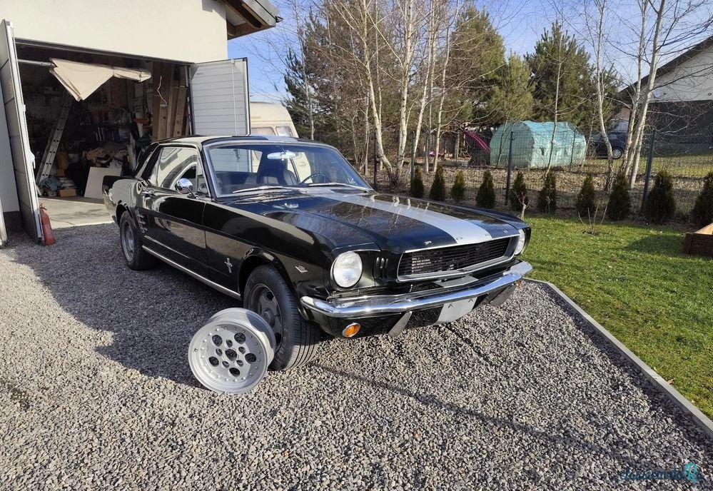 1966' Ford Mustang photo #1