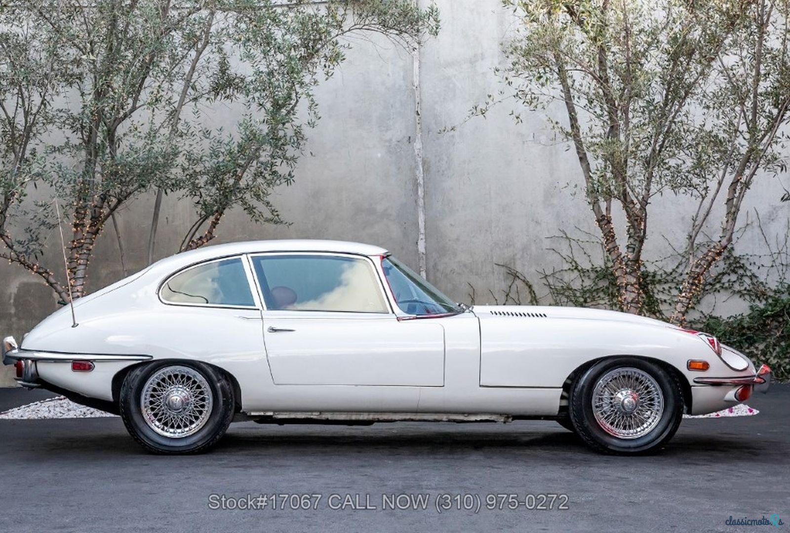 1969' Jaguar photo #2