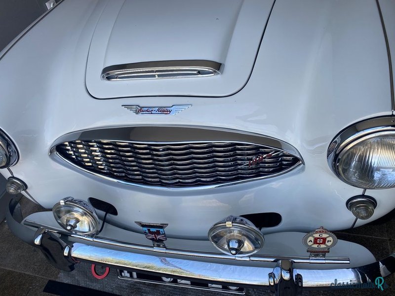 1959' Austin-Healey 3000 photo #1