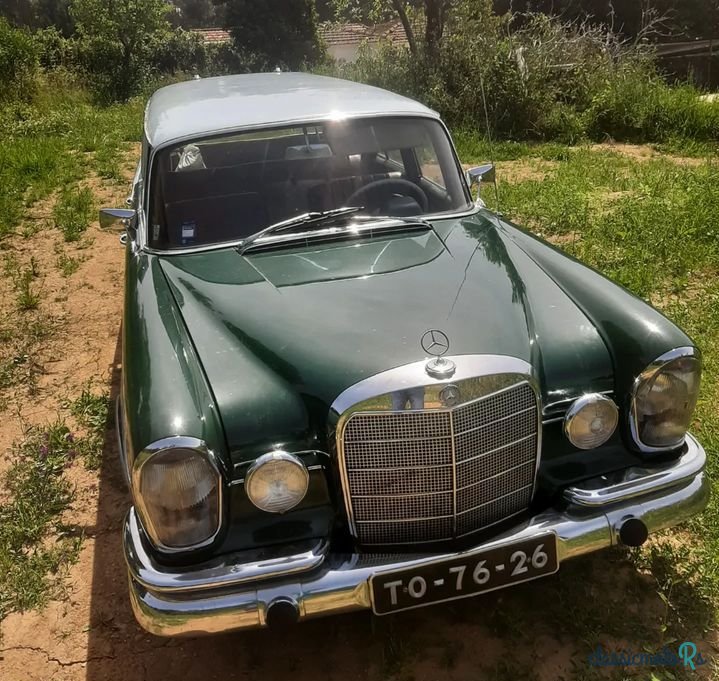 1963' Mercedes-Benz 220 photo #1