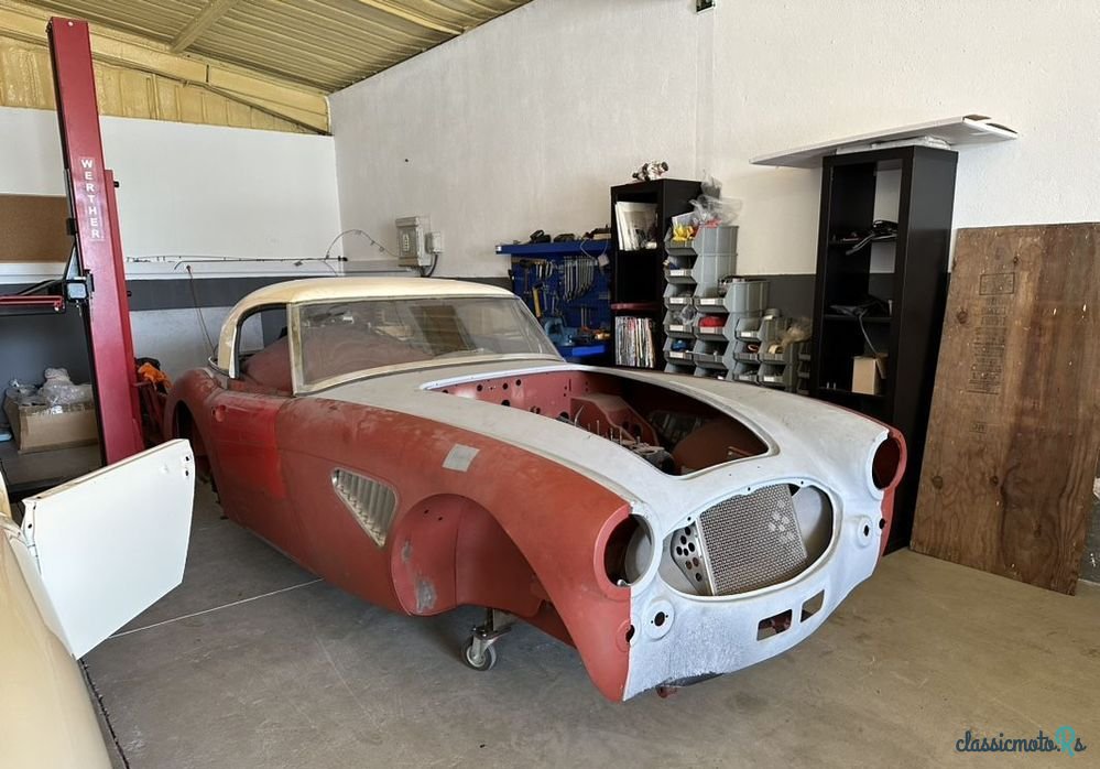 1964' Austin-Healey 3000 photo #1