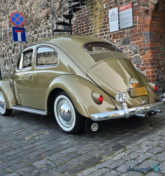 1956' Volkswagen Garbus photo #5