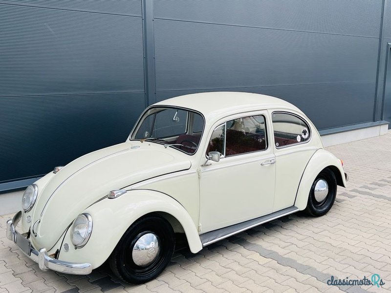 1966' Volkswagen Käfer photo #1