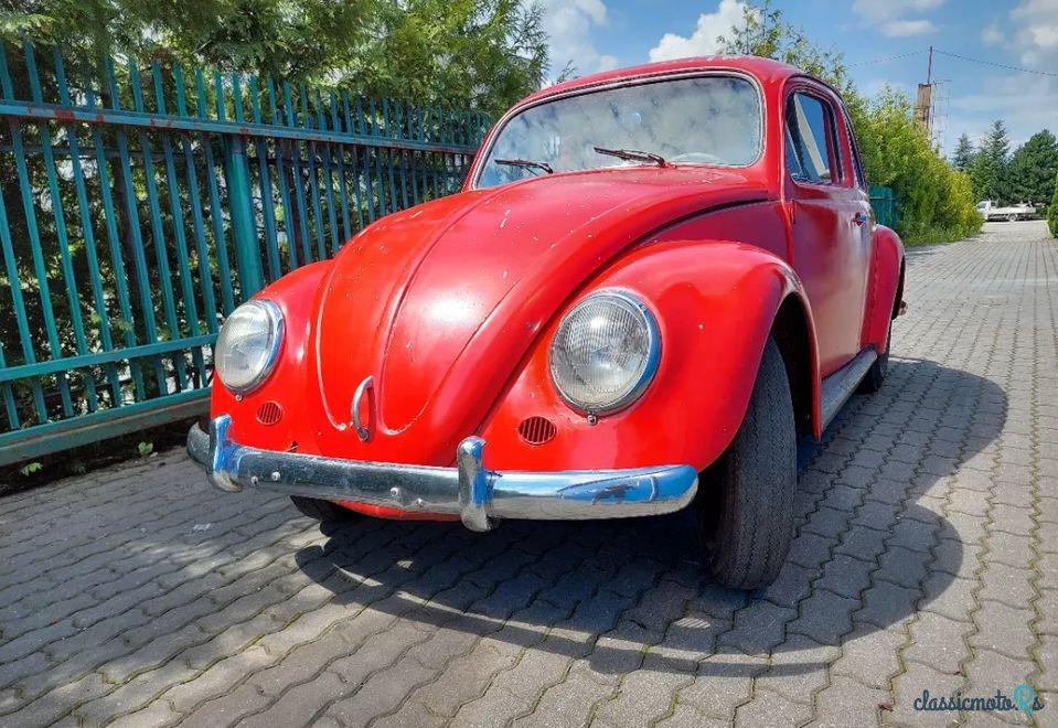 1959' Volkswagen Garbus photo #2