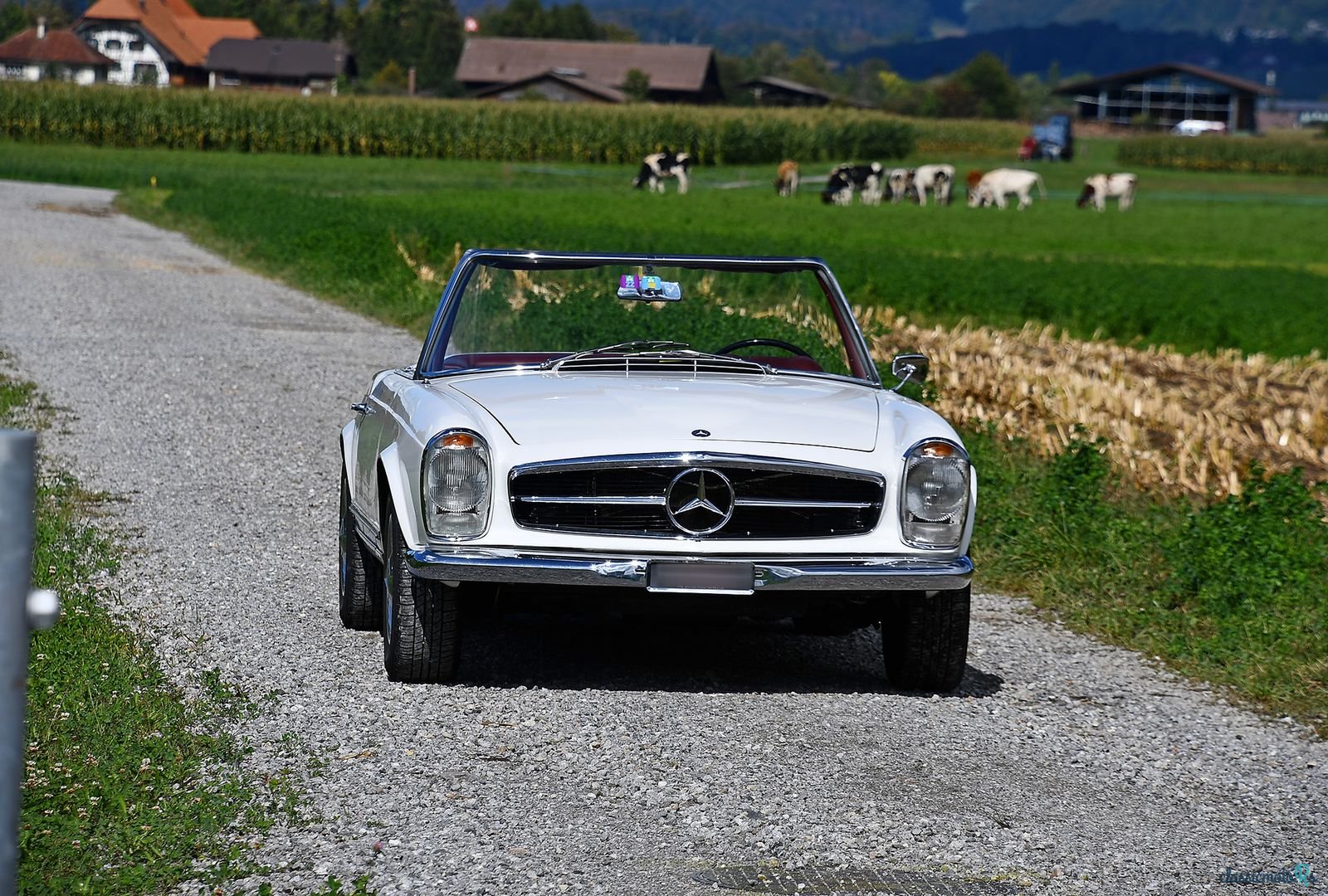 1965' Mercedes-Benz 230 Sl Pagoda photo #2