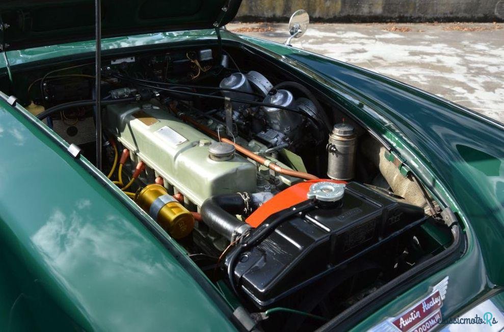 1965' Austin-Healey 3000 Mk Iii photo #3