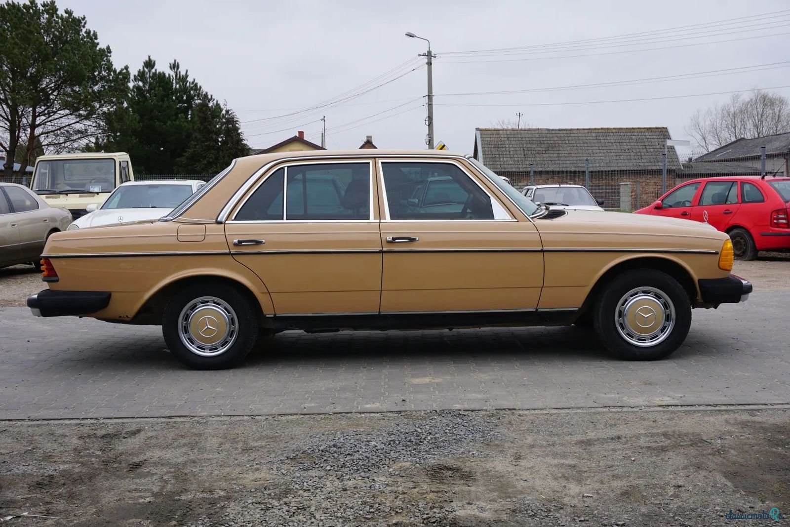 1978' Mercedes-Benz W123 photo #6