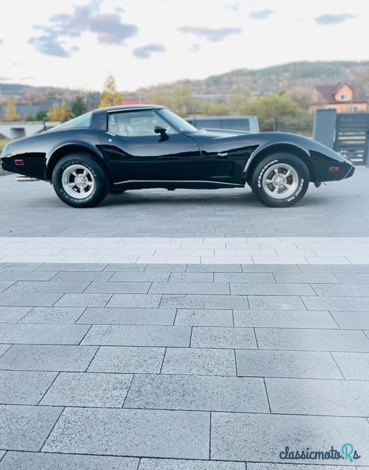 1979' Chevrolet Corvette photo #2