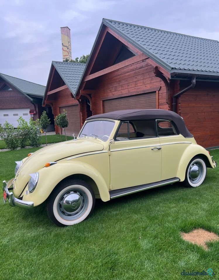 1962' Volkswagen Garbus photo #3