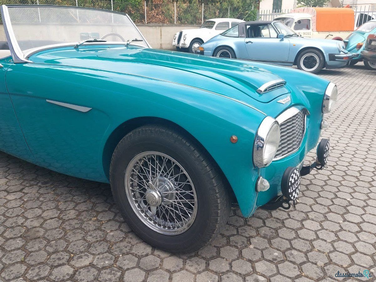 1957' Austin-Healey 100-6 photo #6