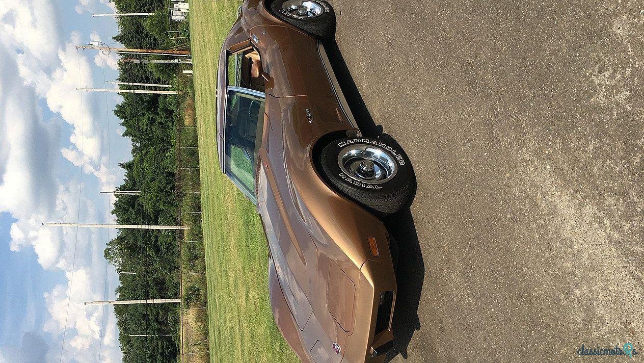 1975' Chevrolet Corvette photo #3