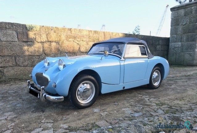1959' Austin-Healey Sprite photo #1