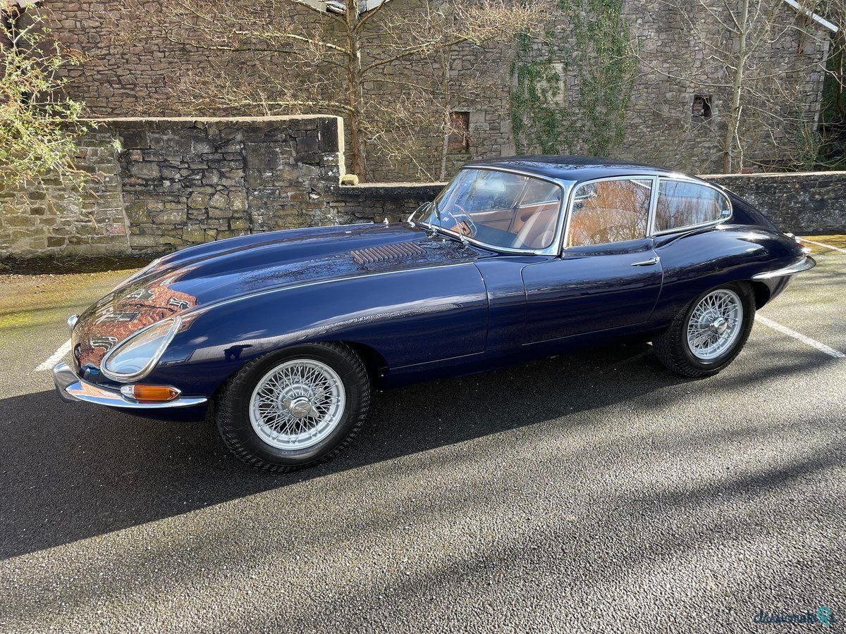 1962' Jaguar E-Type photo #1