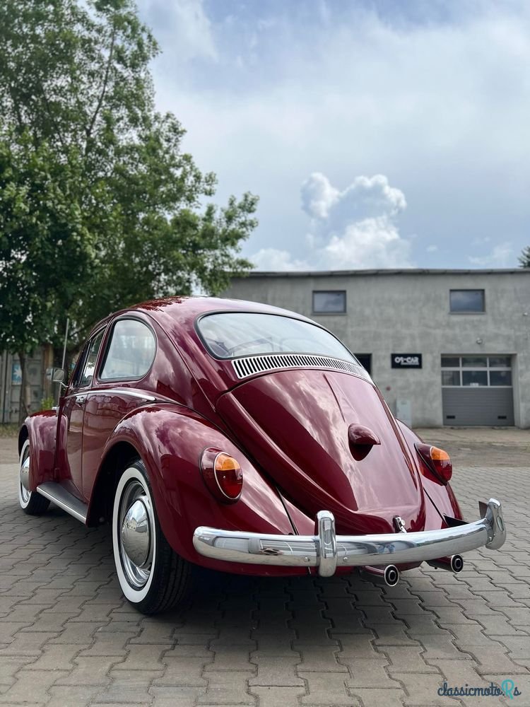 1965' Volkswagen Garbus photo #2