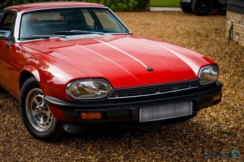 1978' Jaguar XJS photo #6