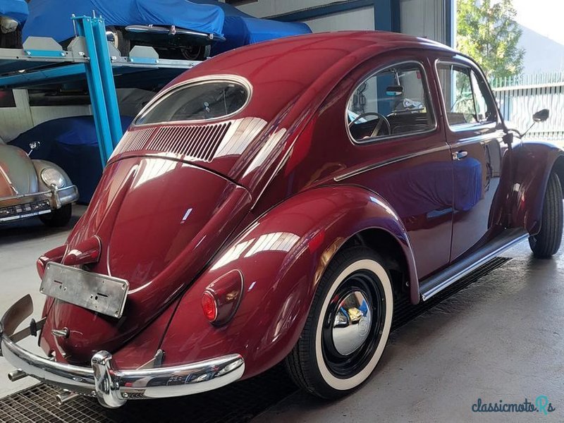 1955' Volkswagen Garbus photo #2