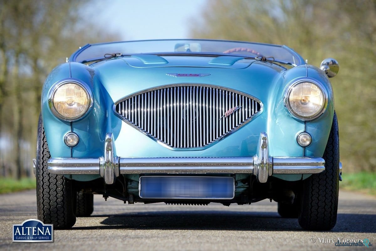 1956' Austin-Healey 100/4 photo #2