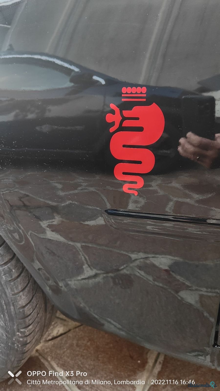 1975' Alfa Romeo Giulia photo #4