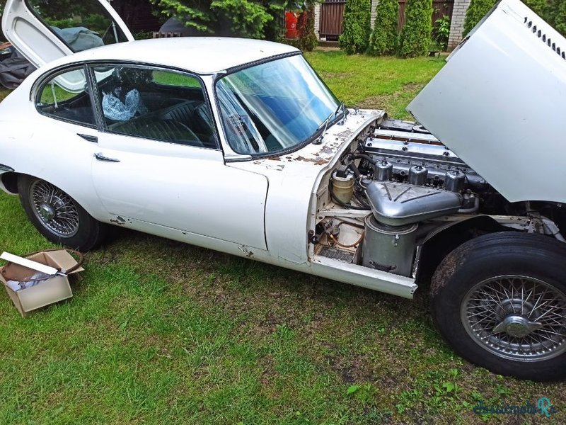 1967' Jaguar E-Type photo #1