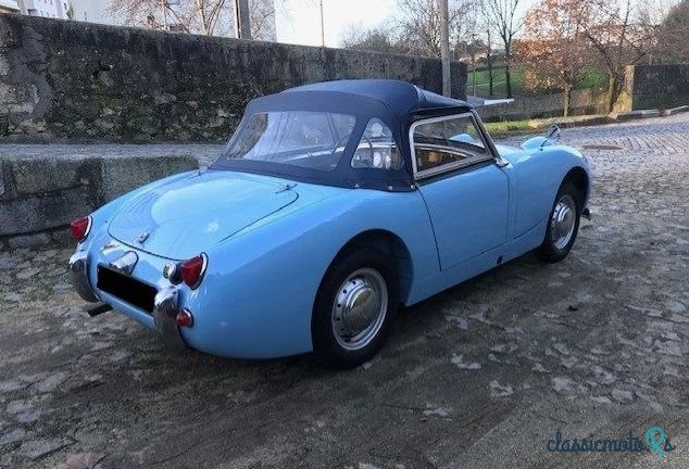 1959' Austin-Healey Sprite Frogeye photo #2