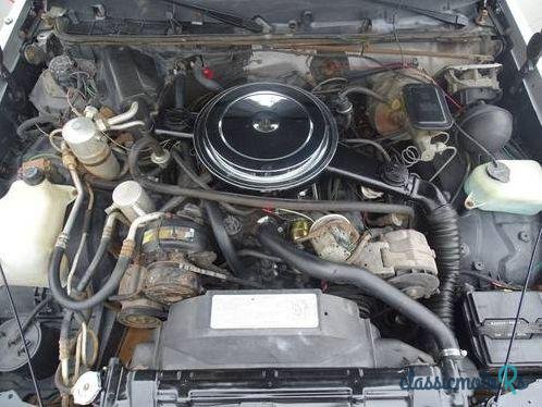 1984' Oldsmobile 442 photo #1