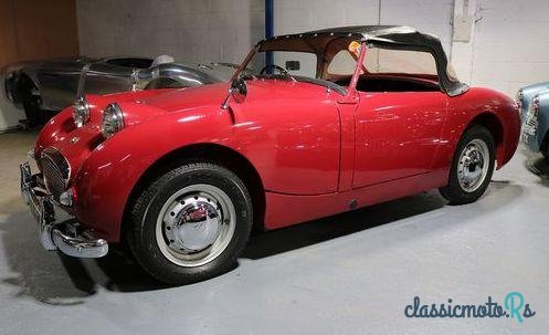 1958' Austin-Healey Sprite photo #4