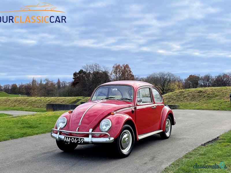 1966' Volkswagen Beetle photo #1