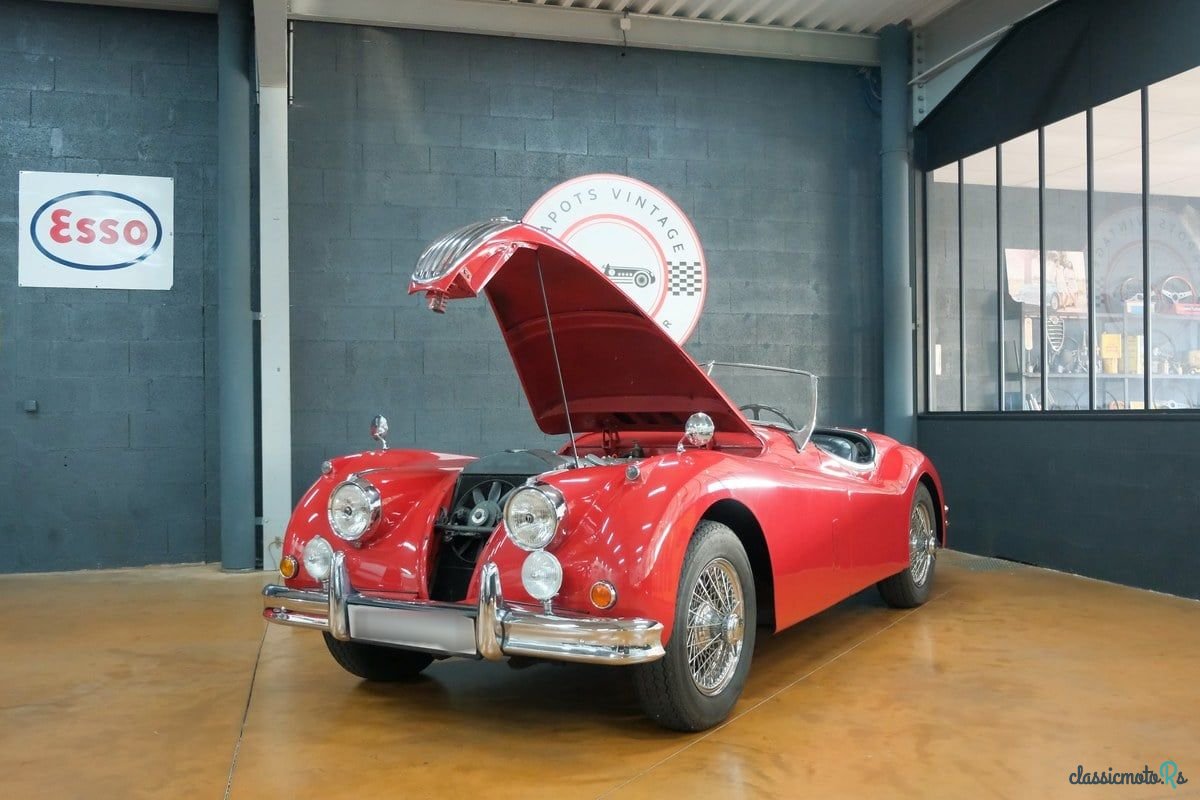 1955' Jaguar Xk140 photo #2