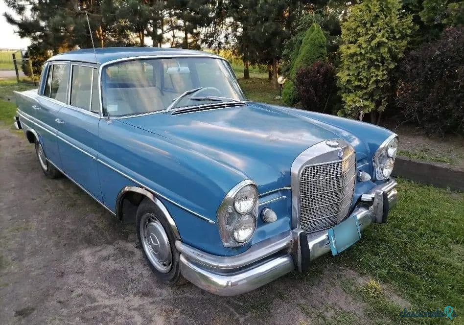 1967' Mercedes-Benz 230 S W111 photo #2