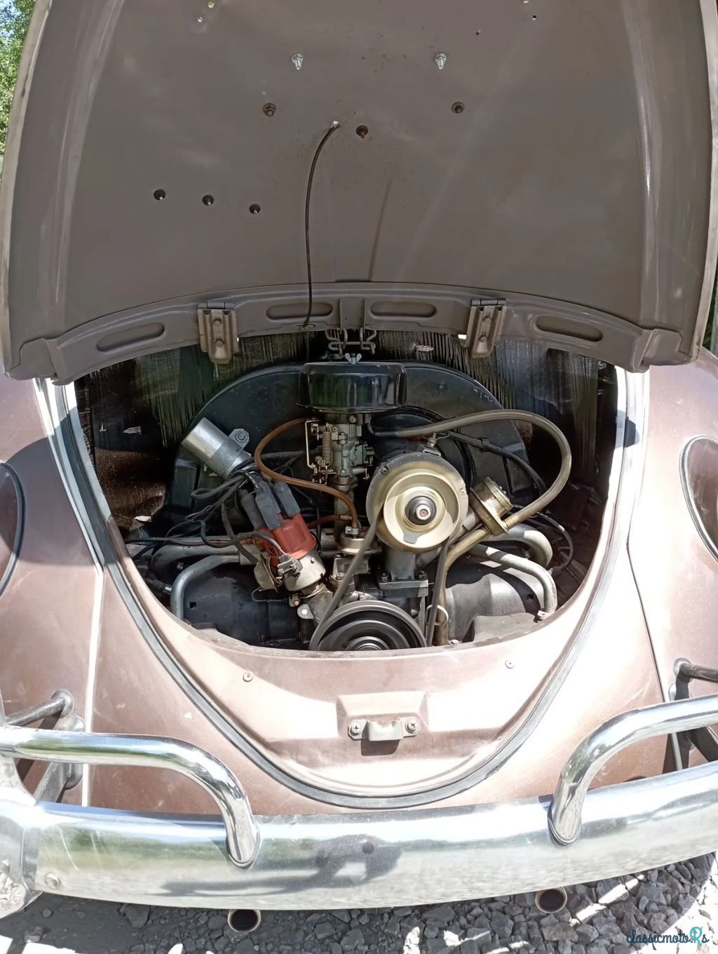 1969' Volkswagen Garbus photo #5